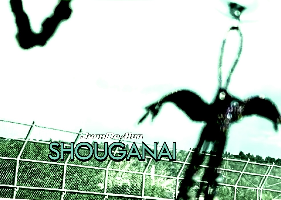 Shouganai